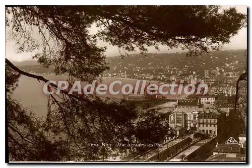 Cartes postales Nice Vue A'travers Les Pins