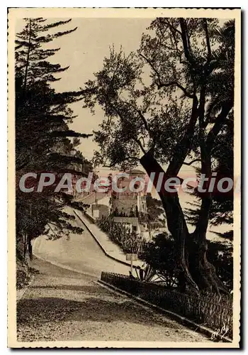 Cartes postales moderne Nice Des Jardins Theodore De Banville avenue jean Lorrain