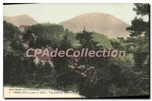 Cartes postales Peira Cava Vue Prise Des Pins