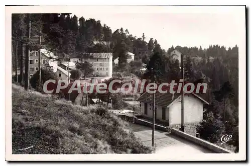 Cartes postales Peira Cava Les Hotels Et La Foret