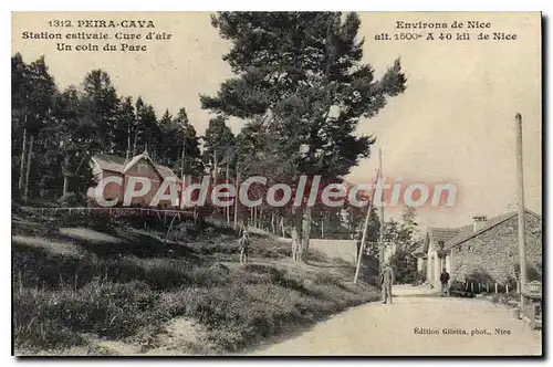 Cartes postales Peira Cava Nice un coin du parc