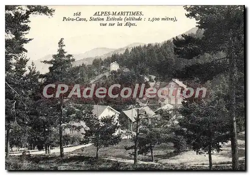 Cartes postales Alpes Maritimes Peira Cava Station Estivale