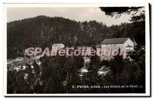 Cartes postales Peira Cava Les Hotels Et La Foret