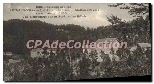 Cartes postales Peira Cava vue g�n�rale