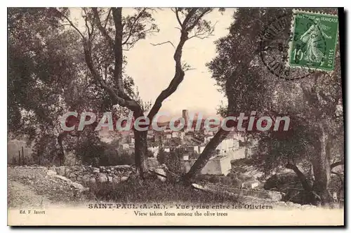 Cartes postales St Paul Vue Prise Entre Les Oliviers