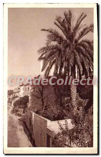 Cartes postales SAINT-PAUL-de-VENCE les jardins sur les remparts