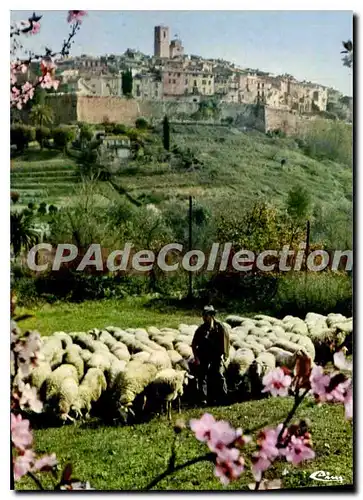 Cartes postales moderne SAINT-PAUL-de-VENCE vue g�n�rale