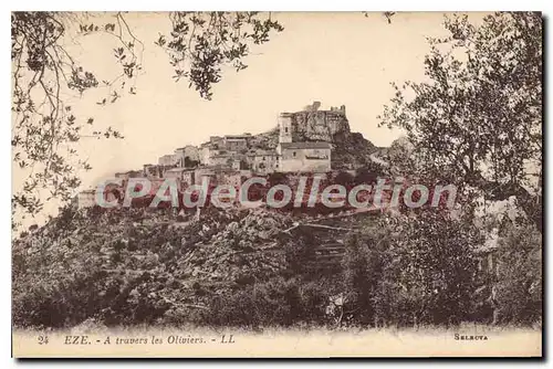 Cartes postales EZE � travers les oliviers