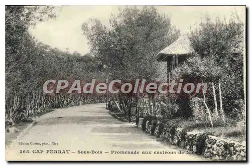 Cartes postales CAP FERRAT sous-bois promenade