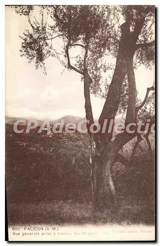 Cartes postales FALICON vue g�n�rale