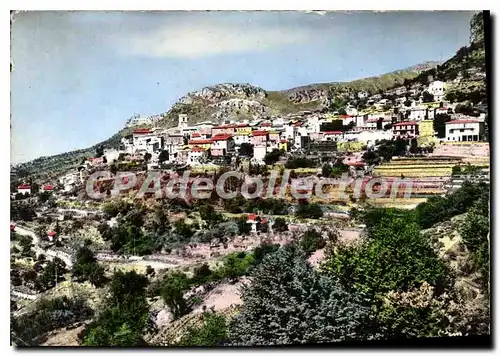 Cartes postales moderne Saint-JEANNET vue g�n�rale champs de fleurs