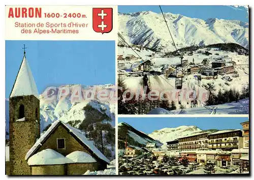 Cartes postales moderne AURON station �t� hiver