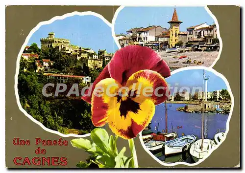 Cartes postales moderne CAGNES-sur-MER une pens�e