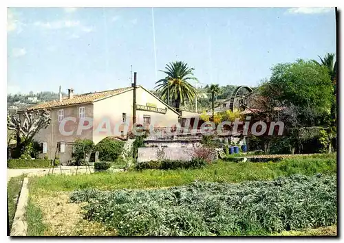 Cartes postales moderne Moulins de la Brague OPIO moulin � huile Michel