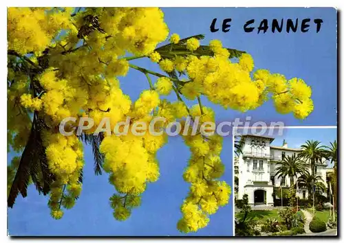 Cartes postales moderne LE CANNET h�tel de ville