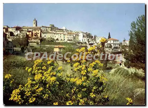 Cartes postales moderne MOUGINS vue g�n�rale