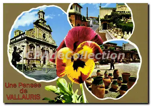 Cartes postales moderne VALLAURIS une pens�e