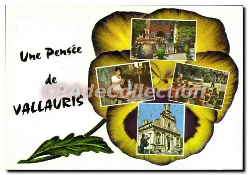 Cartes postales moderne VALLAURIS une pens�e