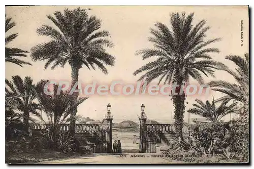Cartes postales ALGER entr�e du jardin Marengo