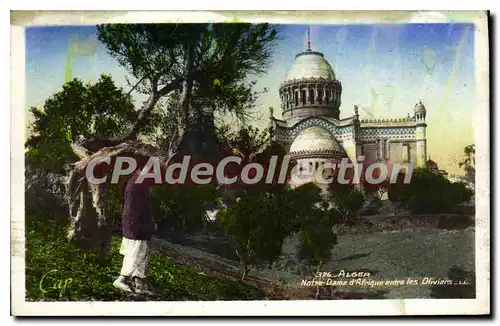 Cartes postales ALGER Notre Dame d'Afrique entre les oliviers