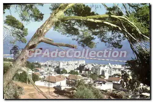 Ansichtskarte AK ALGER vue panoramique