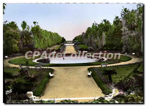 Cartes postales ALGER jardin d'essai