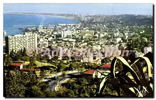 Ansichtskarte AK ALGER vue panoramique