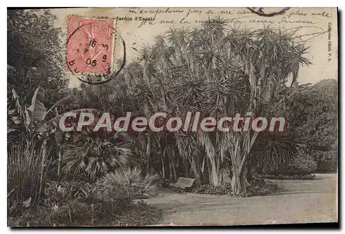 Cartes postales ALGER jardin d'essai