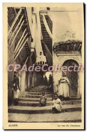 Cartes postales ALGER rue du chameau