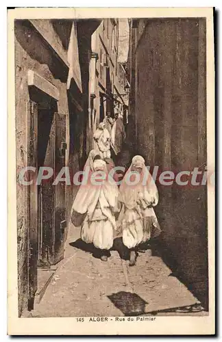 Cartes postales ALGER rue du palmier