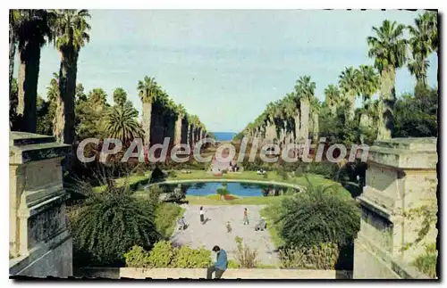 Cartes postales ALGER jardin d'essai