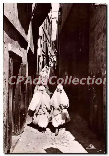 Cartes postales ALGER rue du palmier