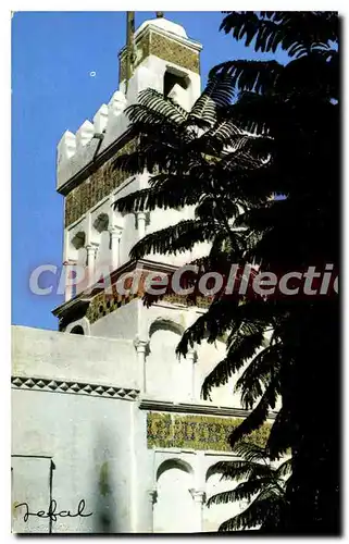 Cartes postales moderne ALGER Sidi Abderahmane