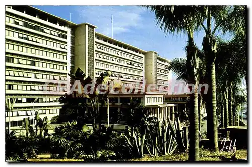 Cartes postales ALGER palais du gouvernement