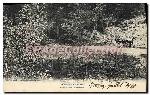 Cartes postales Vagney Etang Des Sangsues