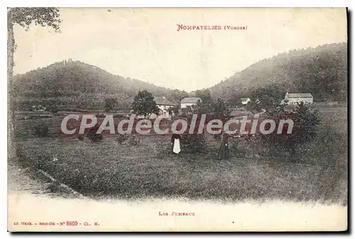 Cartes postales Nompatelize Les Jumeaux