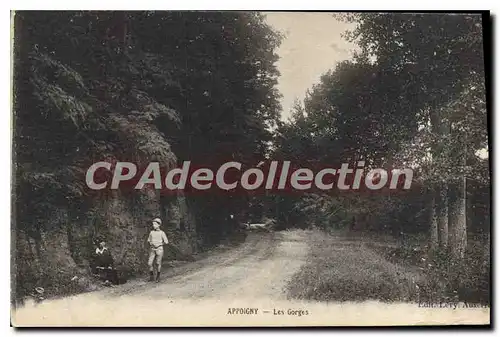 Cartes postales Appoigny Les Gorges