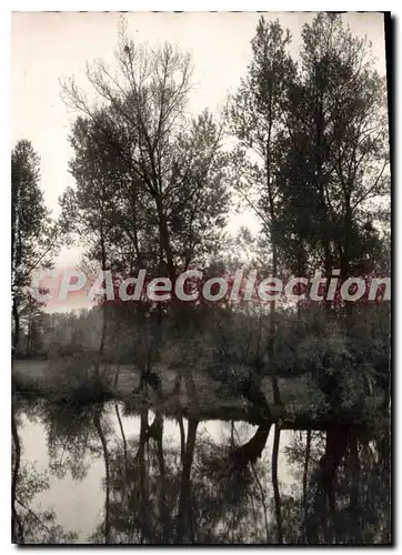 Cartes postales Poilly Sur Serein Les Bords Du Serein