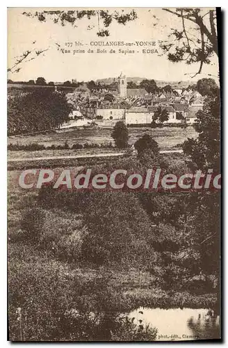 Cartes postales Coulanges Sur Yonne Vue Prise Du Bois De Sapins Edsa