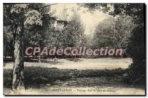 Cartes postales Montgeron Paysage Dans Le Parc Du Ch�teau