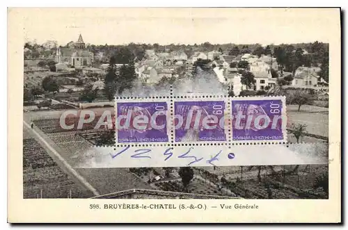 Cartes postales Bruyeres Le Chatel Vue Generale