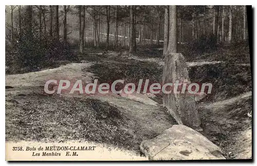 Cartes postales Bois De Meudon Clamart Les Menhirs