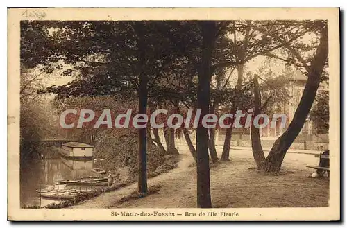 Cartes postales St Maur Des Fosses Bras De I'Ile Fleurie