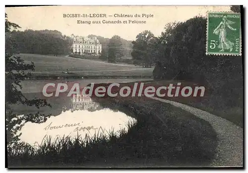 Cartes postales Boissy St Leger Chateau Du Piple