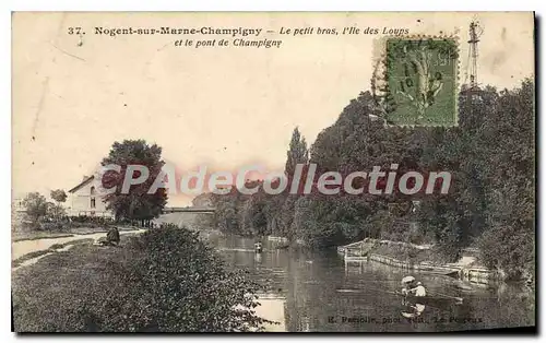 Cartes postales Nogent Sur Marne Champigny Le Petit Bras ile des loups