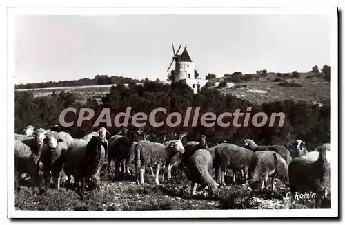 Cartes postales Arles Le Moulin De Daudet