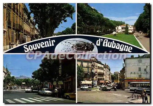 Cartes postales moderne Aubagne La Maison De Marcel Pagnol jardin centre