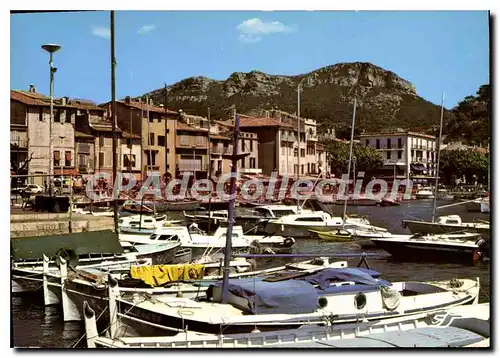 Cartes postales moderne Cassis Un Aspect Du Port