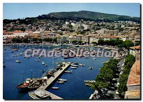 Cartes postales moderne La Ciotat Vue Generale