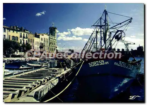 Cartes postales moderne La Ciotat Le Vieux Port Et I'Hotel De Ville